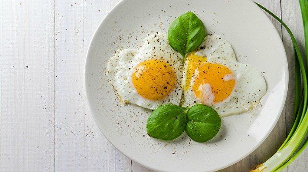 Các câu hỏi phổ biến về bệnh dại và vắc-xin dại