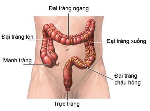 Trước khi nội soi trực tràng: Có cần nhịn ăn?