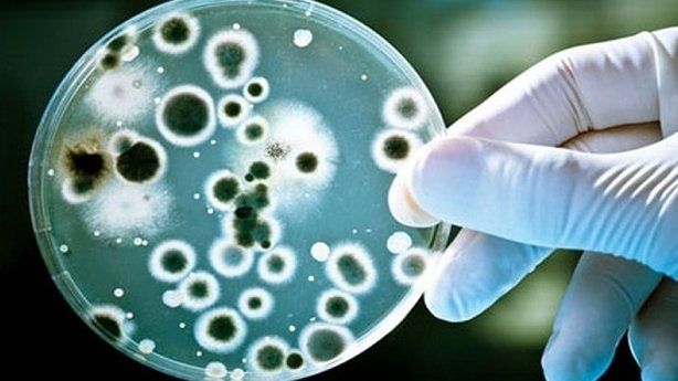 Dấu hiệu suy đa tạng và cách điều trị