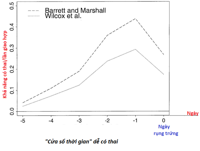 Các khuyến cáo về việc canh trứng để thụ thai