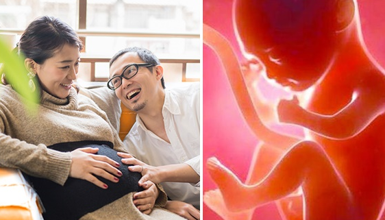 Sự phát triển của thai nhi tuần 19