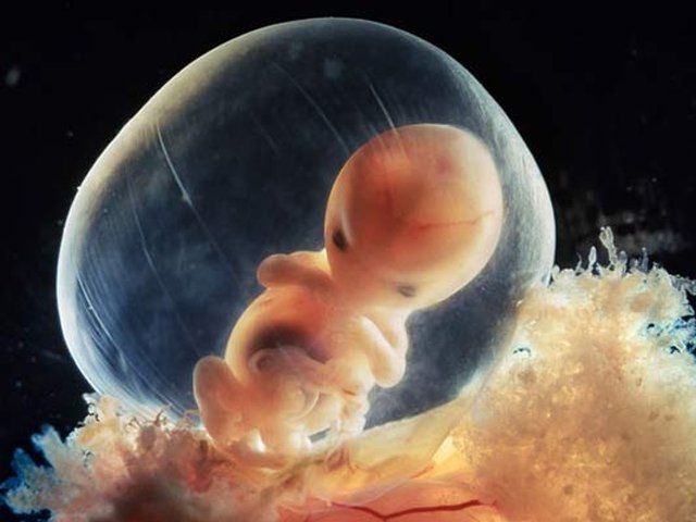 Xét nghiệm đánh giá miễn dịch tại niêm mạc tử cung khi IVF nhiều lần thất bại