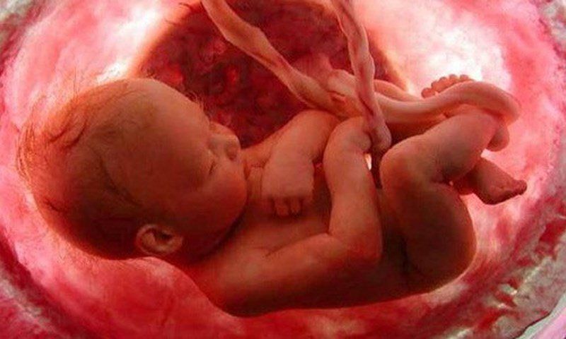 Thai nhi bài tiết trong bụng mẹ như thế nào?