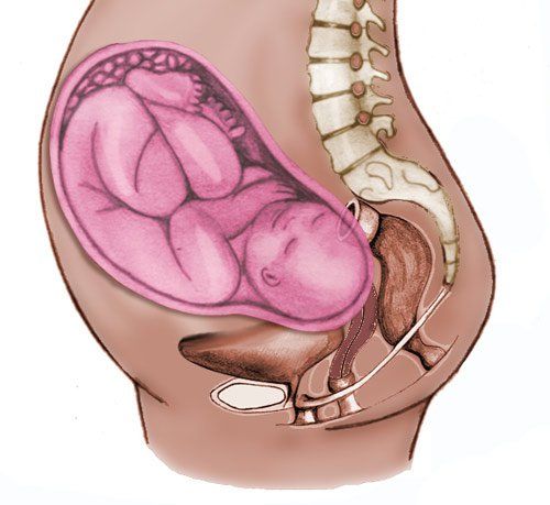 Sự thay đổi của tử cung trong suốt quá trình mang thai