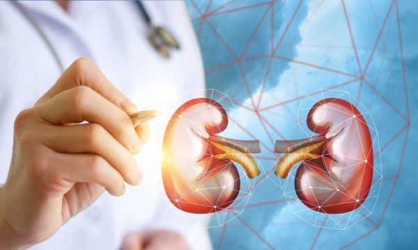 Đào thải sau ghép thận: Những điều cần biết