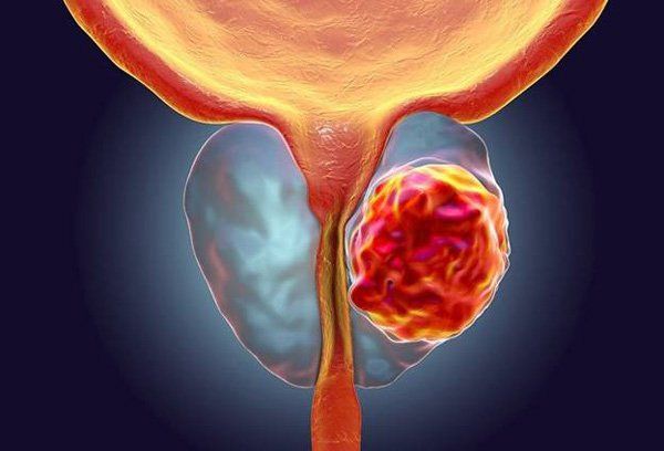 Có nên uống vitamin E trước khi đi ngủ?