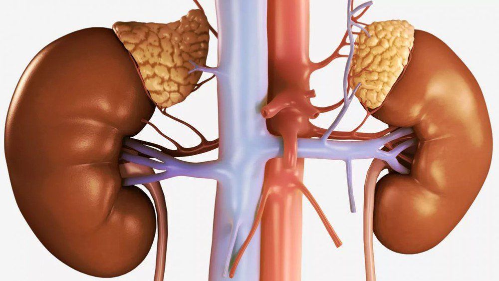 Xét nghiệm nồng độ cortisol máu trong chẩn đoán hội chứng Cushing và suy thượng thận