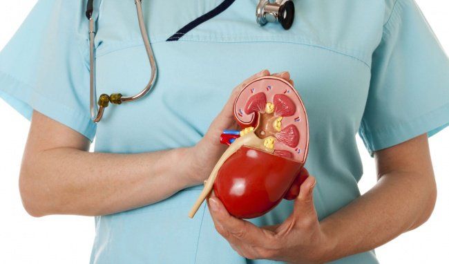 Hội chứng thận hư nên ăn gì để đủ albumin