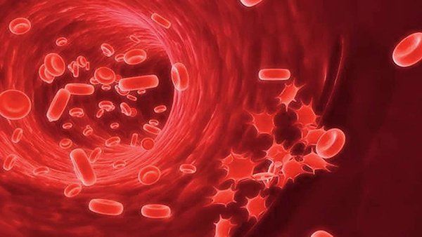 Xét nghiệm ối tìm gen Hemophilia ở phụ nữ mang thai, xác định bệnh máu khó đông