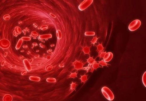 Nội soi thắt búi giãn tĩnh mạch thực quản bằng vòng cao su