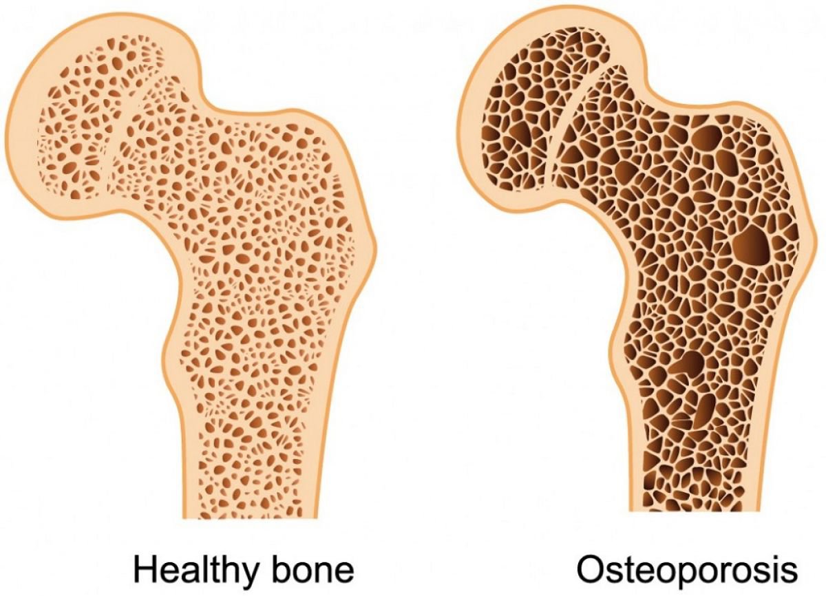 Collagen hoạt động thế nào trong cơ thể bạn?