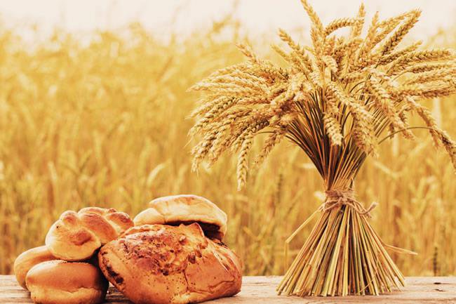 Chế độ ăn uống không có gluten