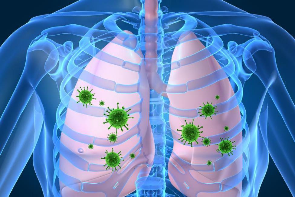 Rhino virus có thể lây nhiễm từ người sang người không?
