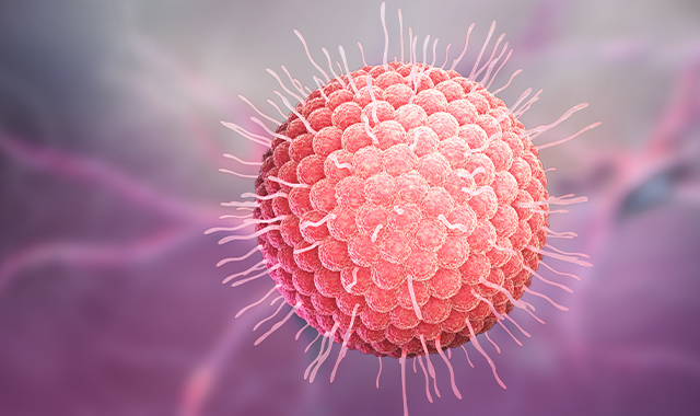 Virus nào gây bệnh thủy đậu?