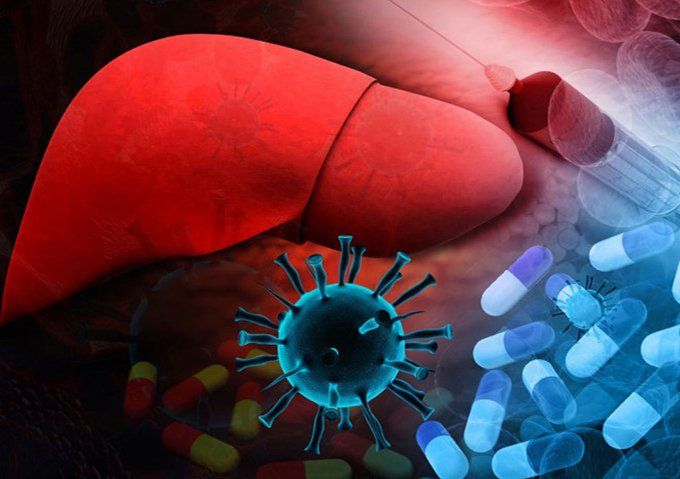 Virus viêm gan A tồn tại bao lâu ngoài cơ thể?