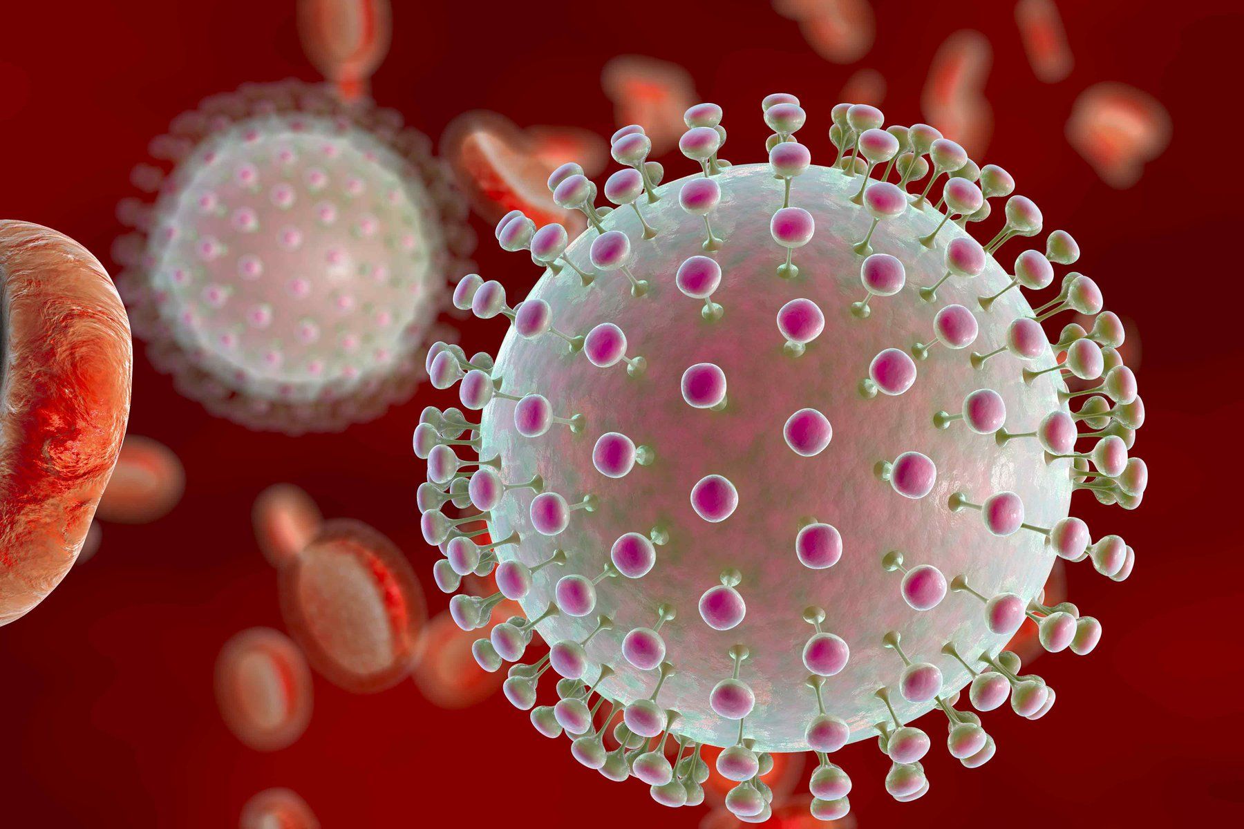 Nhiệt độ ảnh hưởng thế nào tới tốc độ lây lan của virus gây bệnh truyền nhiễm?