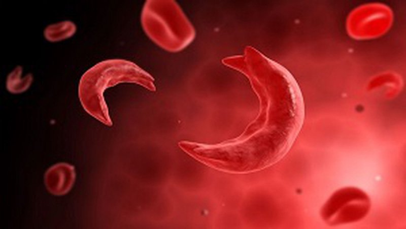 Hemoglobin dưới mức bình thường làm ảnh hưởng tới chức năng cơ thể như thế nào?
