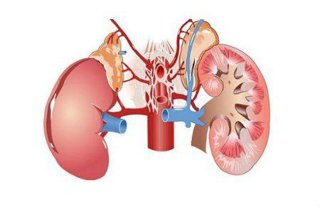 Cách tính hệ số thanh thải creatinin