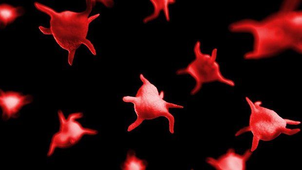 Đo độ ngưng tập tiểu cầu với ADP