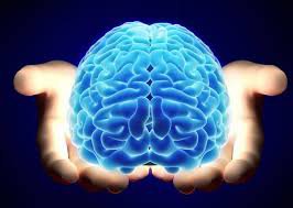 L-Carnitine: Lợi ích, tác dụng phụ, nguồn và liều dùng