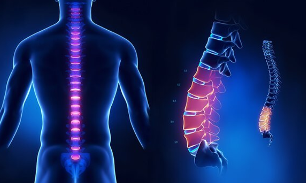 Ý nghĩa chụp cộng hưởng từ (MRI) cột sống ngực