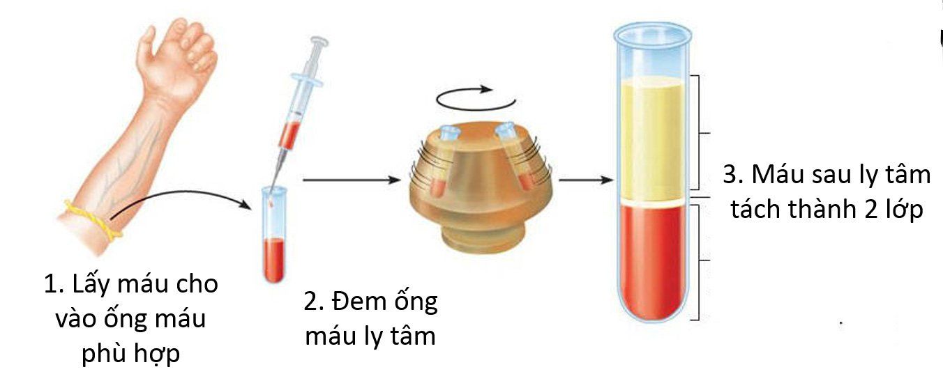 Lâm sàng trong y học là gì?