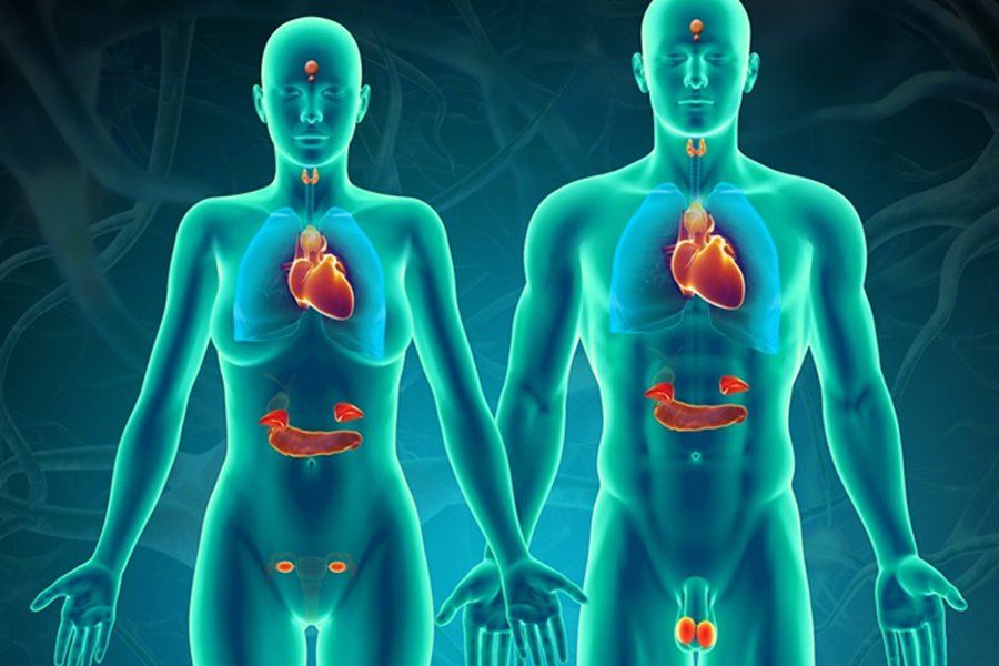 Những thực phẩm cần tránh khi dùng morphine tiêm tĩnh mạch