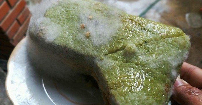 Ẩm mốc ảnh hưởng tới sức khỏe như thế nào?