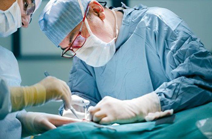 Cắt dương vật không vét hạch: Chỉ định và hiệu quả