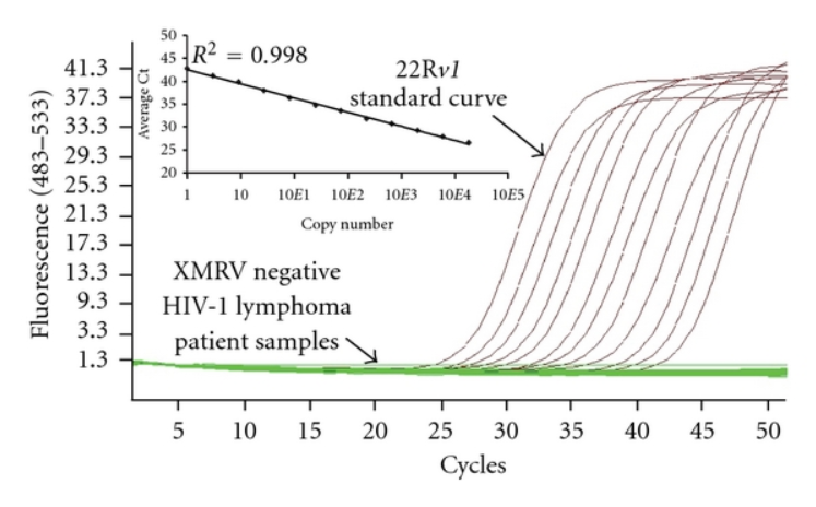 Xét nghiệm HIV sau 8 tuần có chính xác không?