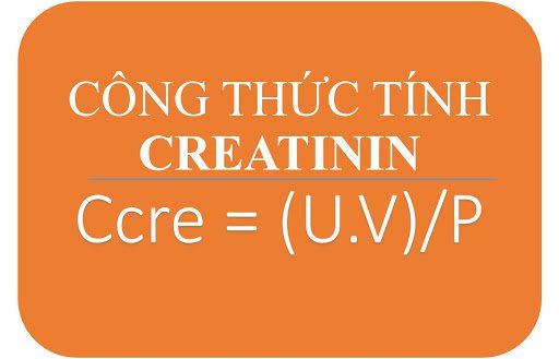 Cách tính hệ số thanh thải creatinin
