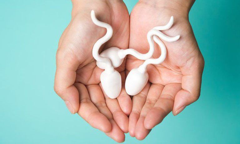 Phân tích số lượng tinh trùng dựa vào kết quả xét nghiệm tinh dịch đồ