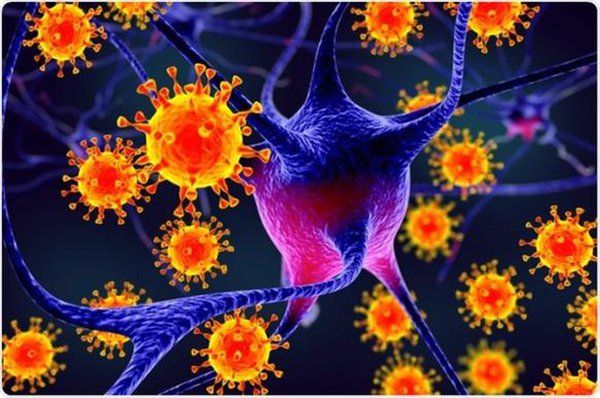 Vì sao virus có thể phát tán, lây từ người sang người?
