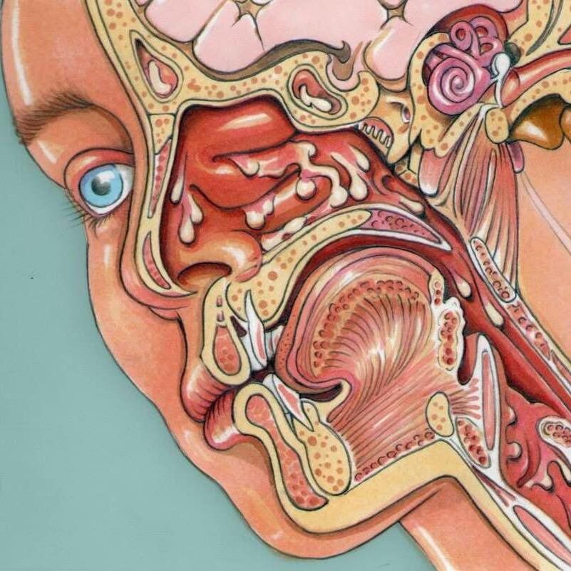 Xử trí chấn thương tai - mũi - họng