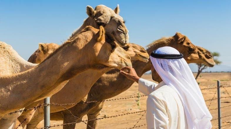 MERS-CoV: Nguồn gốc, đường lây truyền, cách nhận biết và điều trị