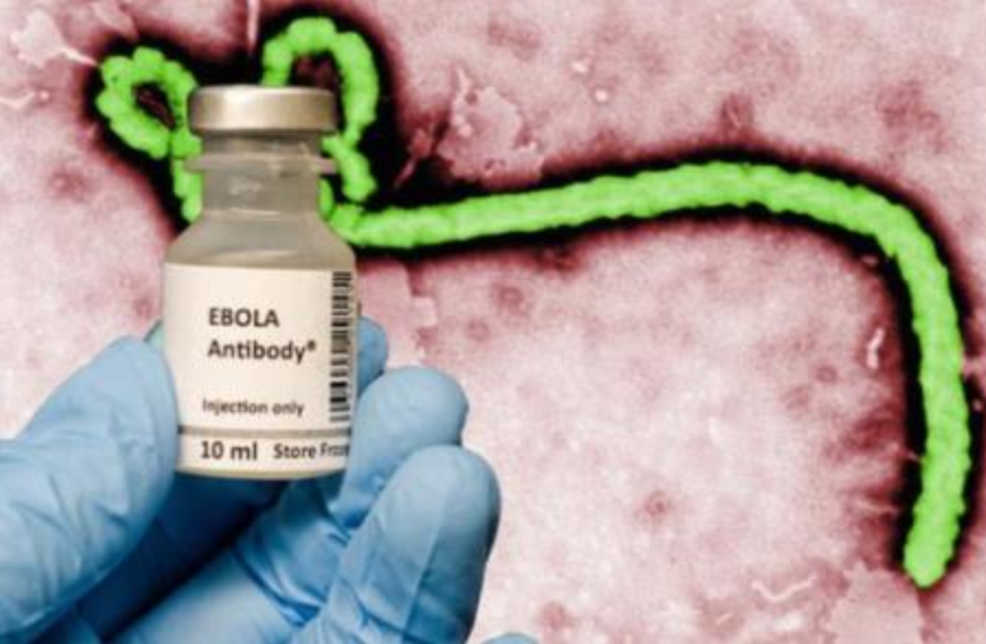 Chẩn đoán và điều trị bệnh do virus Ebola theo hướng dẫn của Bộ Y tế