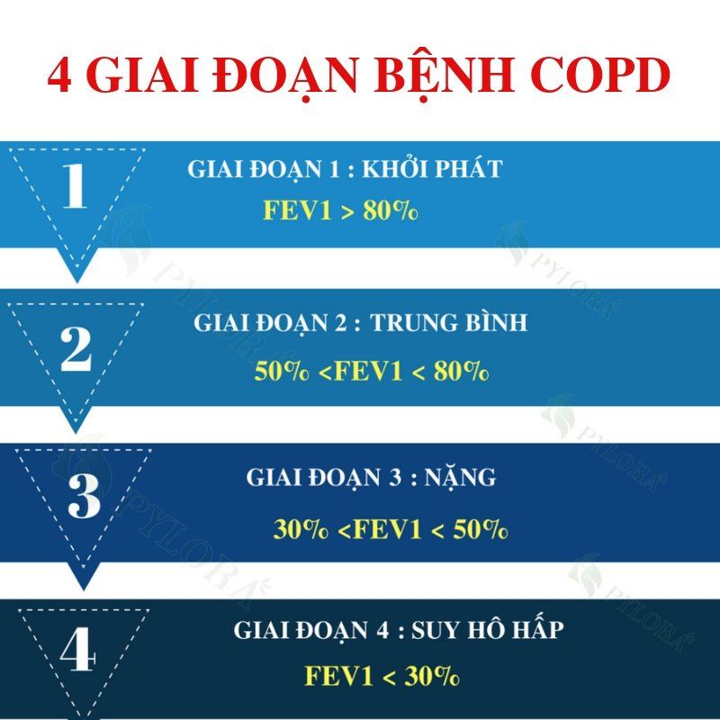 Đánh giá mức độ nặng của COPD bằng FEV1