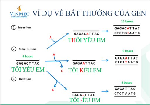 Tiến bộ trong xét nghiệm gen đánh giá nguy cơ ung thư di truyền