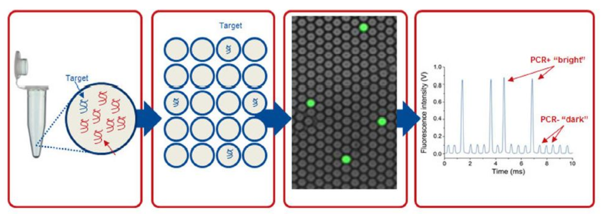 Ứng dụng PCR kỹ thuật số trong theo dõi điều trị ung thư không xâm lấn