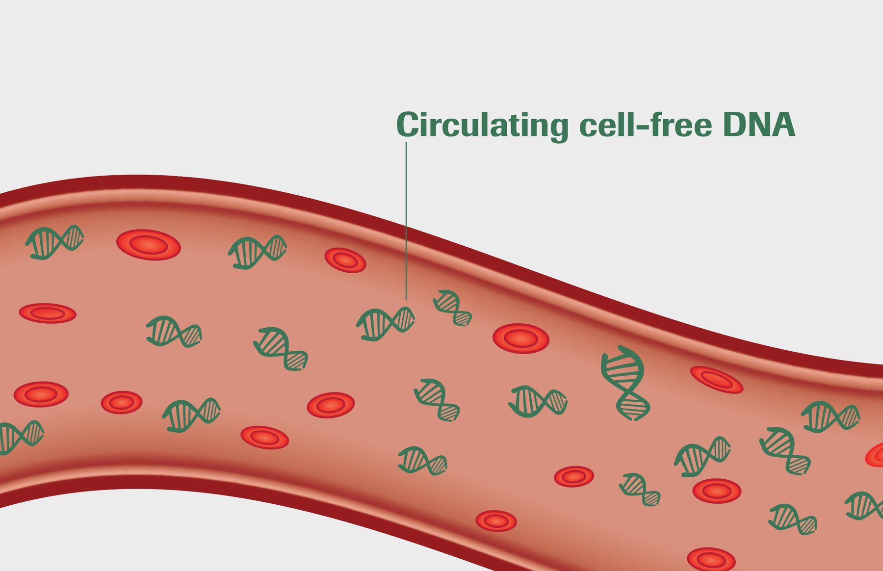 Ứng dụng PCR kỹ thuật số trong theo dõi điều trị ung thư không xâm lấn