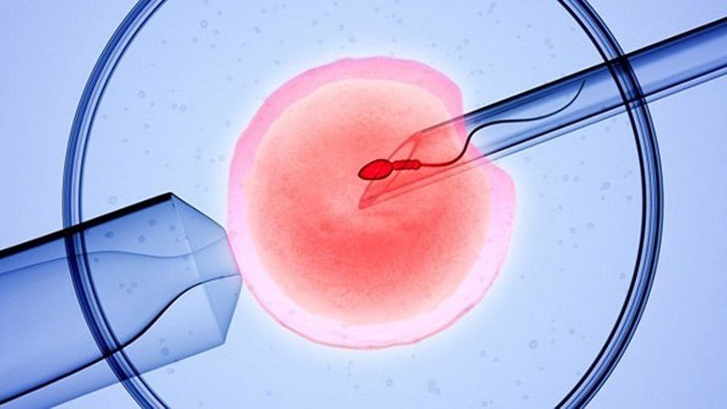 Chỉ số progesterone trong thụ tinh nhân tạo IVF
