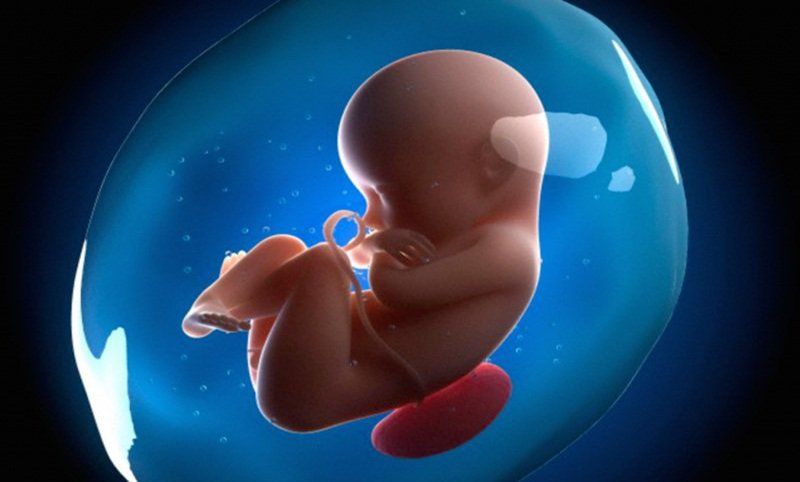 Siêu âm hình thái thai nhi có thể thực hiện từ tuần thai nào?
