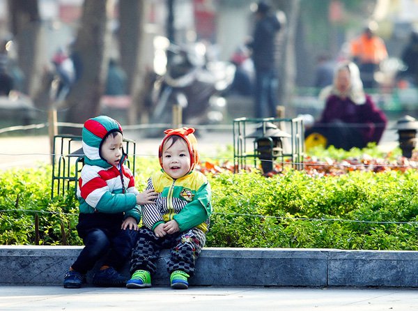 Vi khuẩn nào gây bệnh bạch hầu?