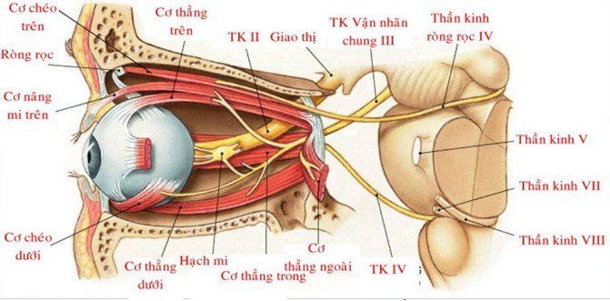 Biến chứng viêm dây thần kinh thị giác