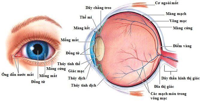 Biến chứng viêm dây thần kinh thị giác