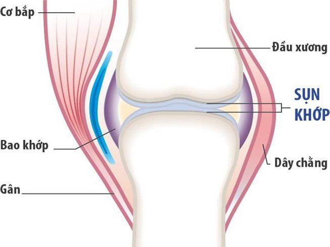 Glucosamine uống trước hay sau ăn? Uống lúc nào tốt nhất?