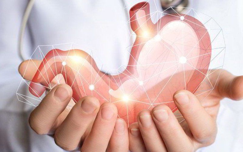 Nước xương rồng có tốt cho bạn không?