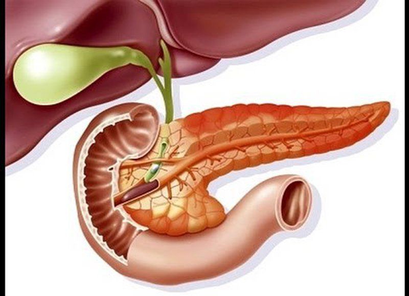 Sán lá gan lớn ký sinh ở đâu?