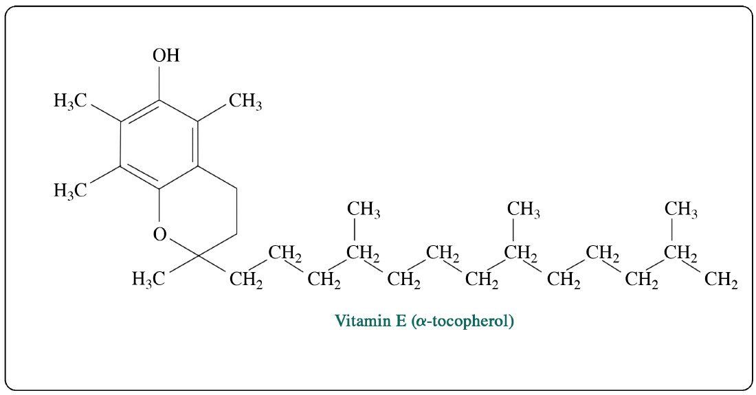 Vitamin E có trong thực phẩm nào?