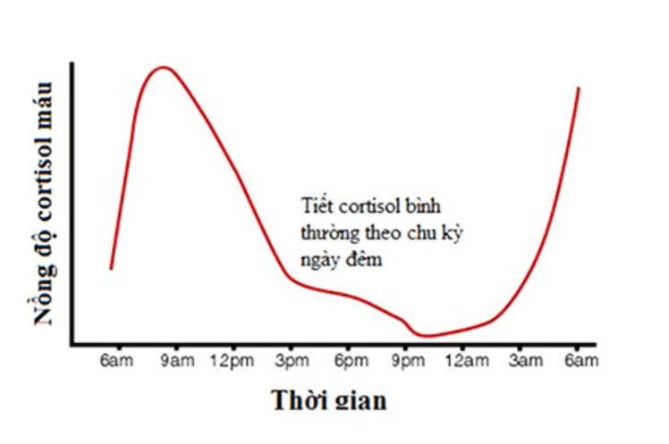 Nồng độ cortisol trong máu